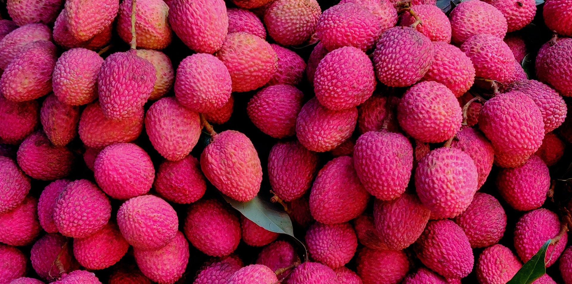 Litchi (Litchi Chinensis)