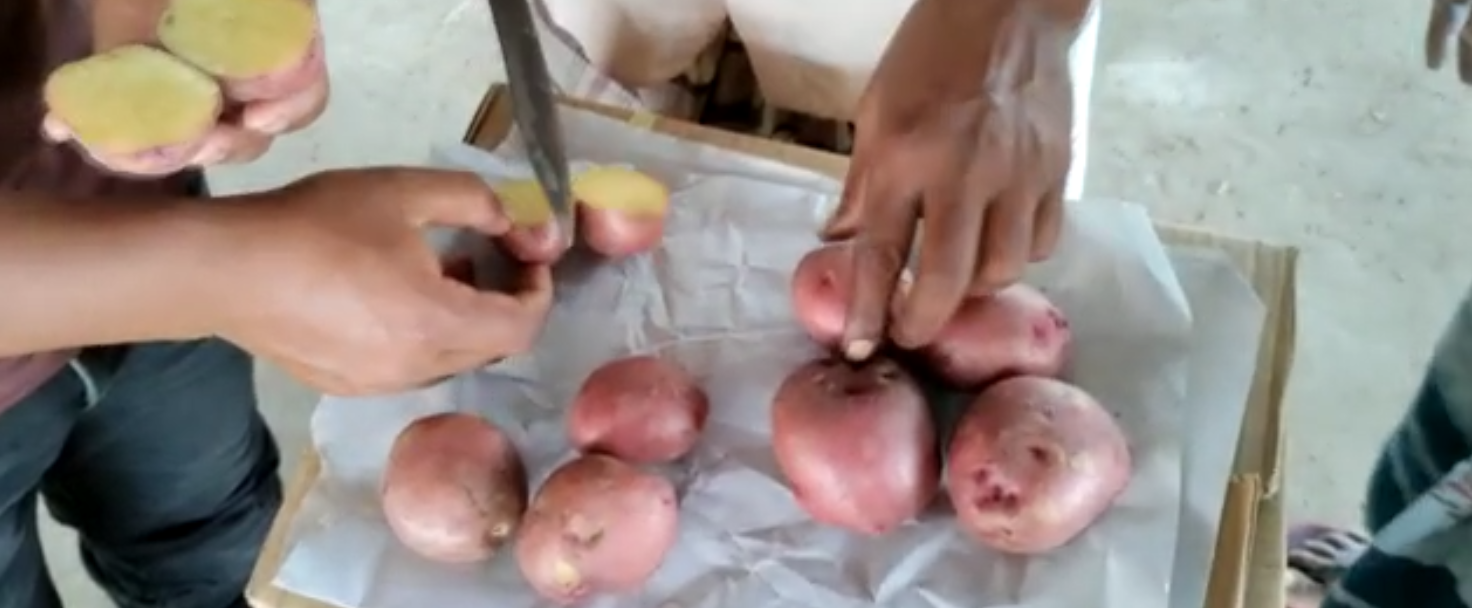 Checking The Quality of Potato
