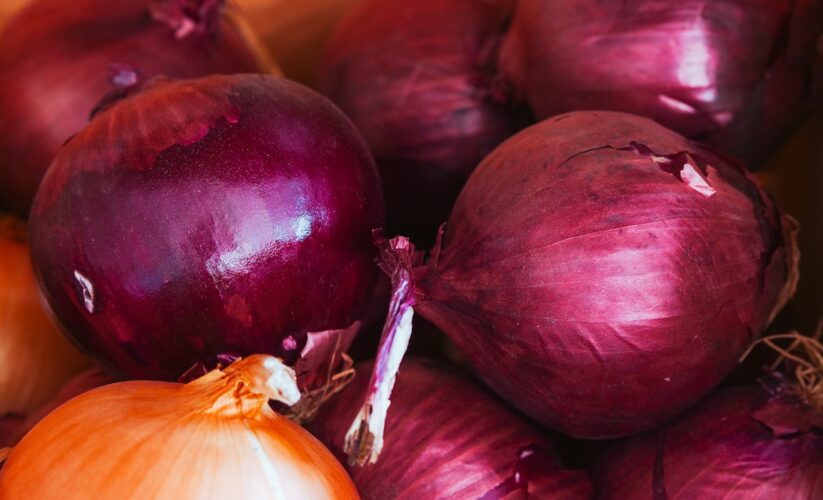 Fresh Red Onions