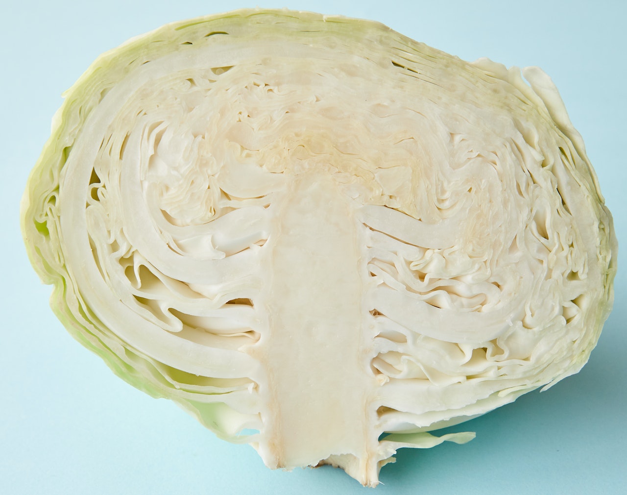 Fresh Cabbage by Snow Fresh Bangladesh