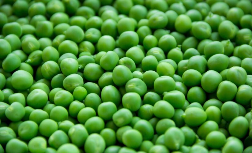 Fresh Green Beans by Snow Fresh Bangladesh