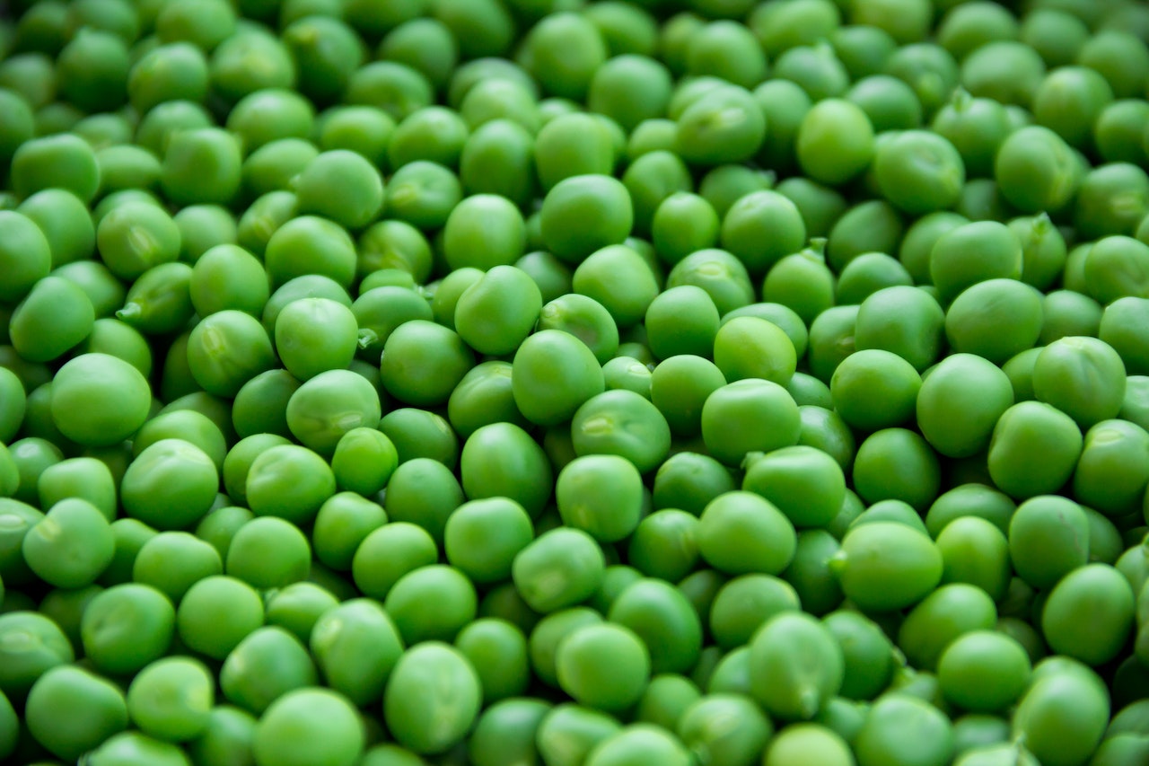 Fresh Green Beans by Snow Fresh Bangladesh