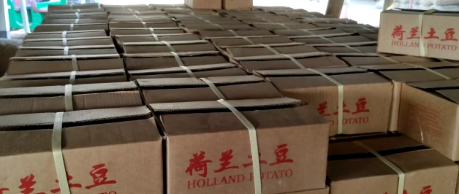 Potato Packaging